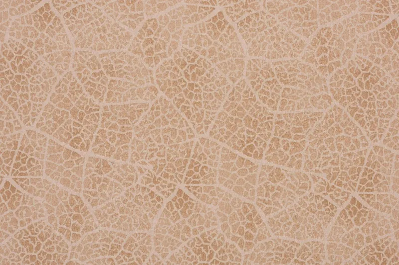 Ткань Pierre Frey Charleston f3123002