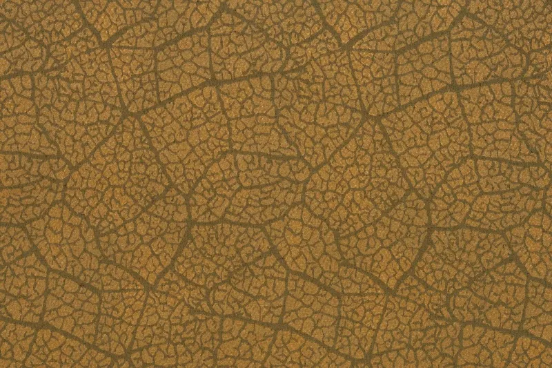 Ткань Pierre Frey Charleston f3123006