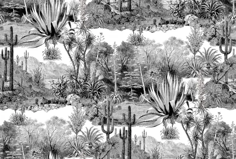 Ткань Pierre Frey Maya f3086001