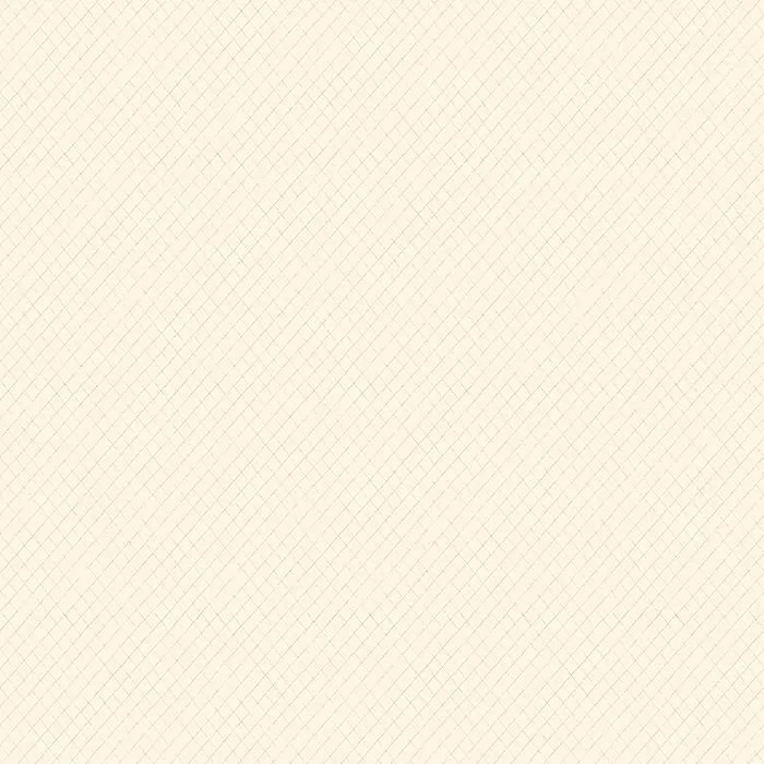 Обои для стен Paper Partnership Patterdale WP0110303