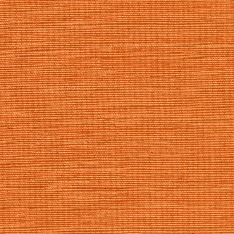 Обои для стен Schumacher Natural Accents S5004719