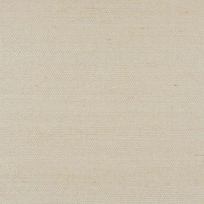 Обои для стен Schumacher Natural Accents S5010850