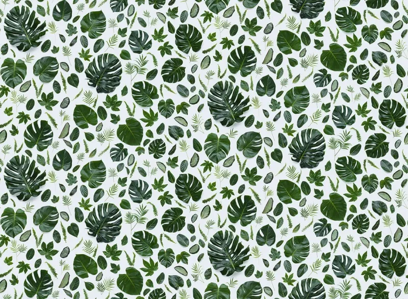 Обои для стен Mr Perswall Captured Reality 2 P291401-8