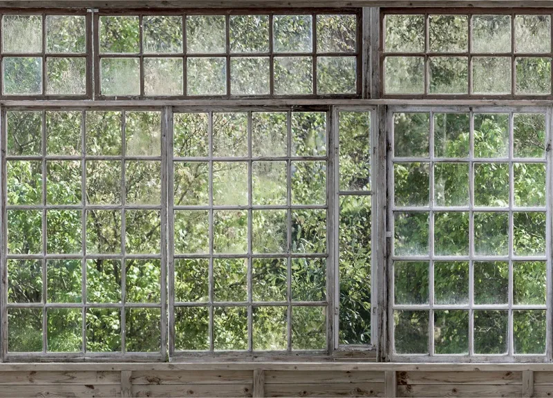 Обои для стен Mr Perswall Captured Reality 2 P291501-8