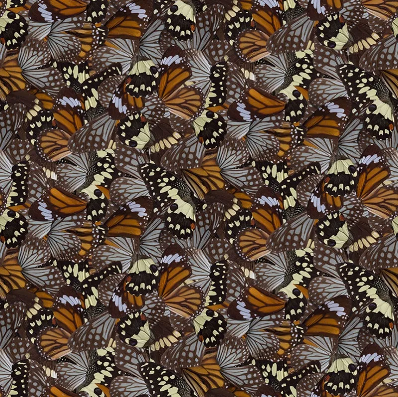 Обои для стен Mr Perswall Captured Reality 2 P291801-8