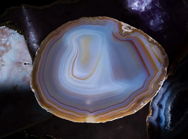 Обои для стен Mr Perswall Captured Reality 2 P291901-9