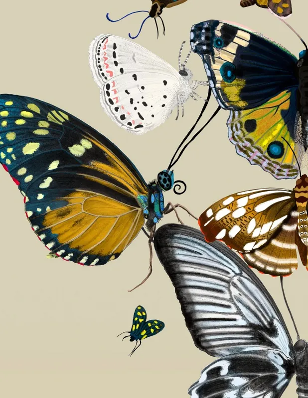 Обои для стен Kitmiles Wallcoverings Al.1 Metamorphois-Imperial-Yellow