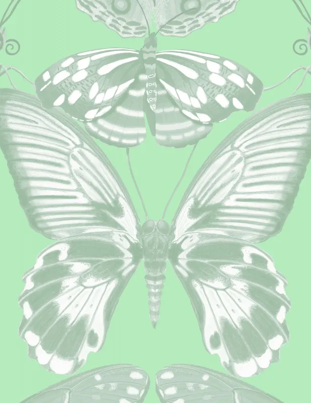 Обои для стен Kitmiles Wallcoverings Al.1 Metamorphosis-New-Mint