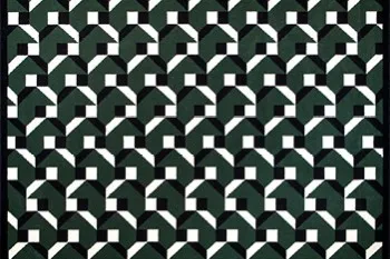 vignettes_constructivismevert