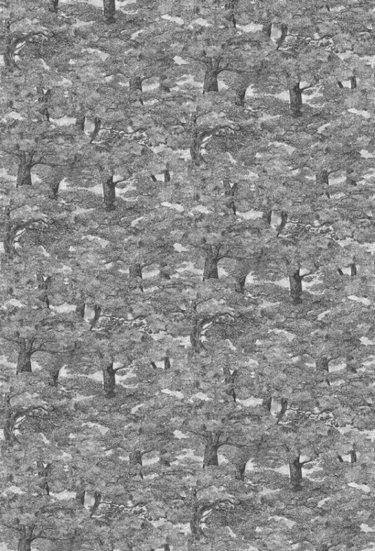 Обои для стен BorasTapeter Wild Animals 1193