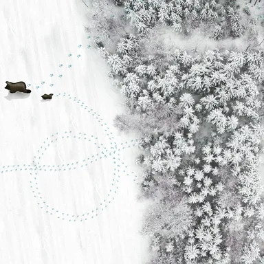 Обои для стен Wall&Deco CODE 2020 WET SYSTEM WET_GO2001