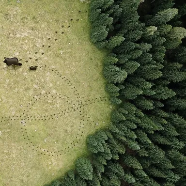 Обои для стен Wall&Deco CODE 2020 WET SYSTEM WET_GO2002