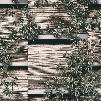 Обои для стен Wall&Deco CODE 2020 WET SYSTEM WET_VP2001