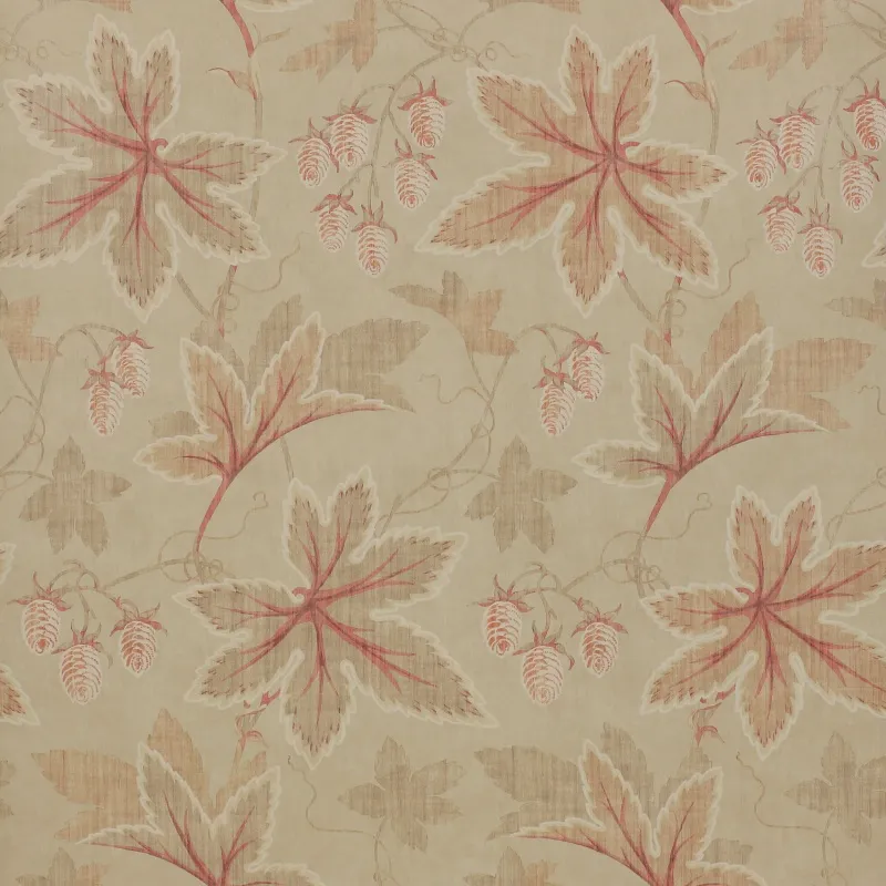 Обои для стен Colefax and Fowler Lindon Wallpapers 07173-03