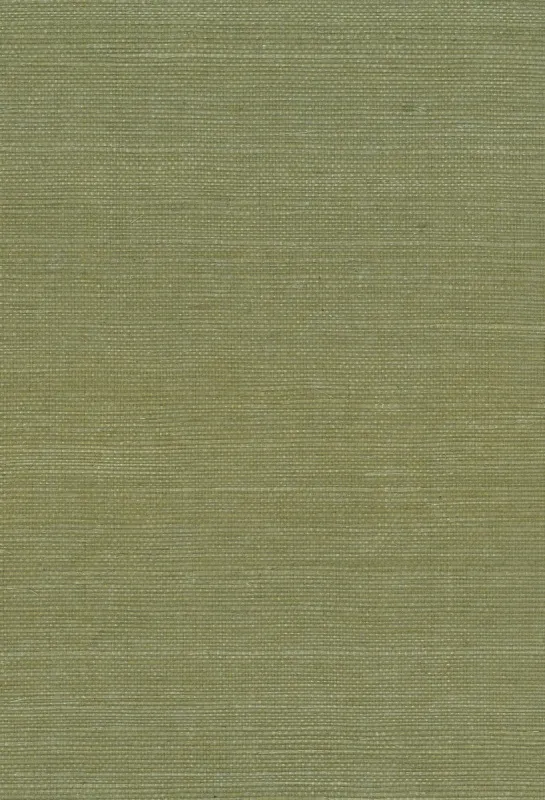 Обои для стен Seabrook Natural Resource NA208