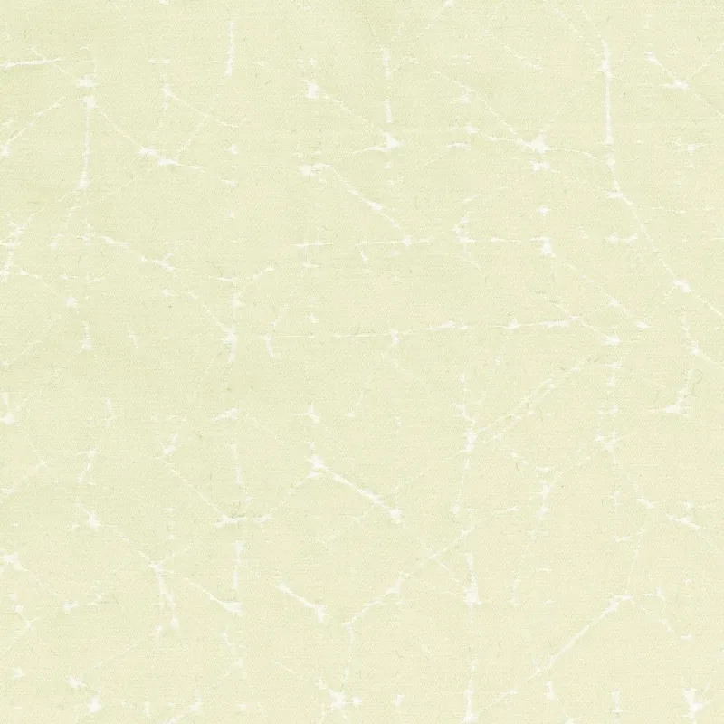 Ткань Rubelli Vermeer 30203_9