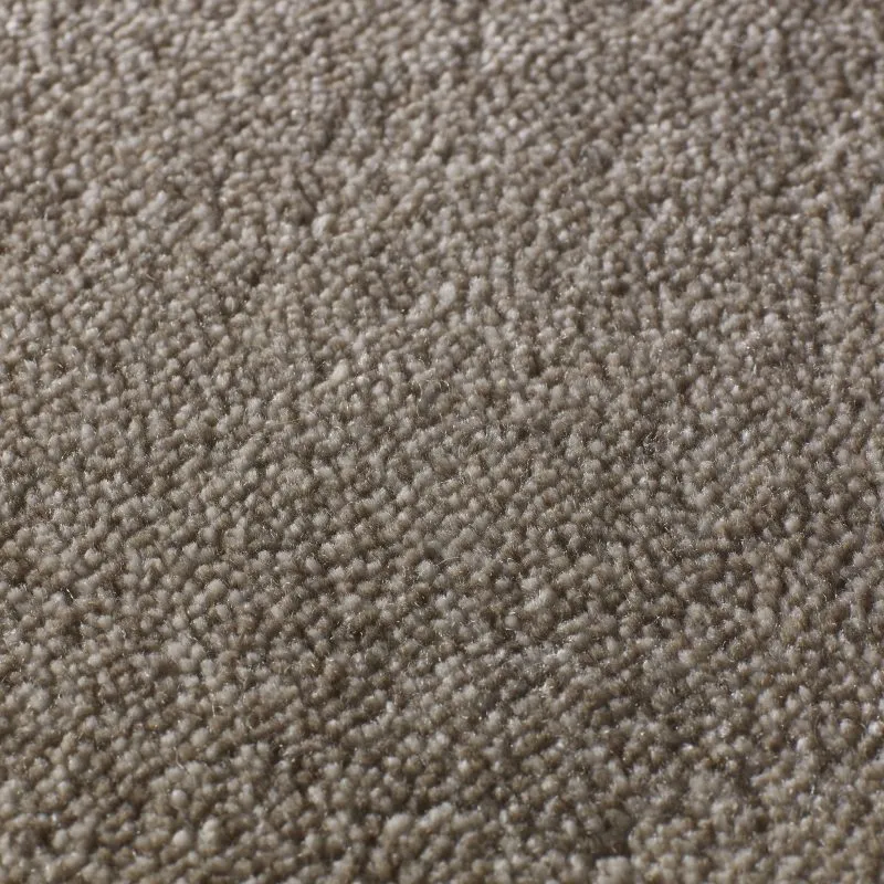 Rajgarh-Dappled-Brown