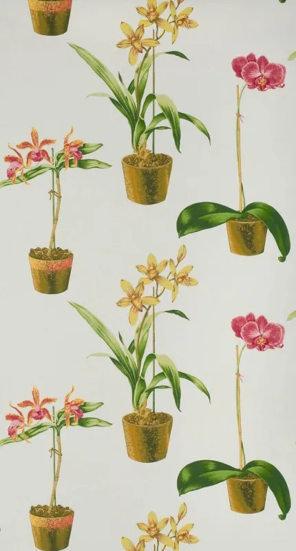 Обои для стен Boussac Faune & Flore w4963002