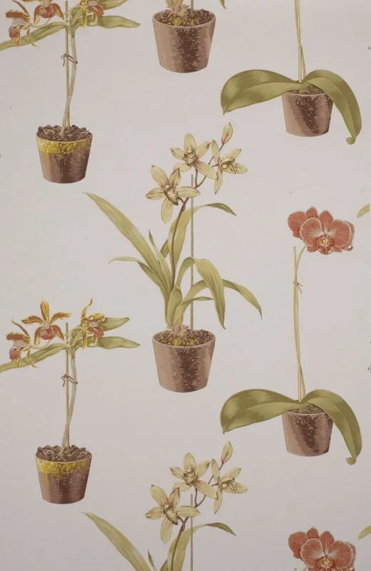 Обои для стен Boussac Faune & Flore w4963003