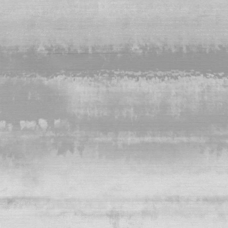 Обои для стен Phillip Jeffries Oasis PJ-8693