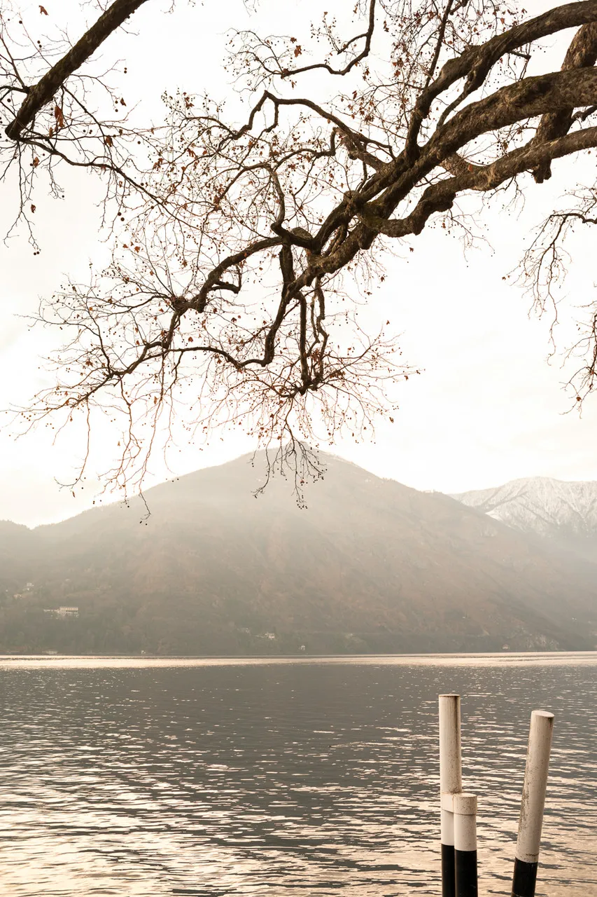 Ткань Dedar Albore T18079_001 #3