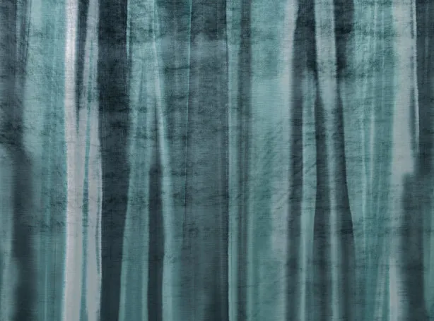 Ткань Black Edition Zafaro 7661-05