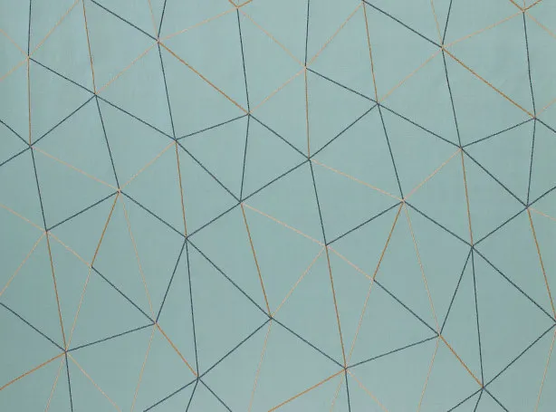 Ткань Black Edition Zafaro 9099-02