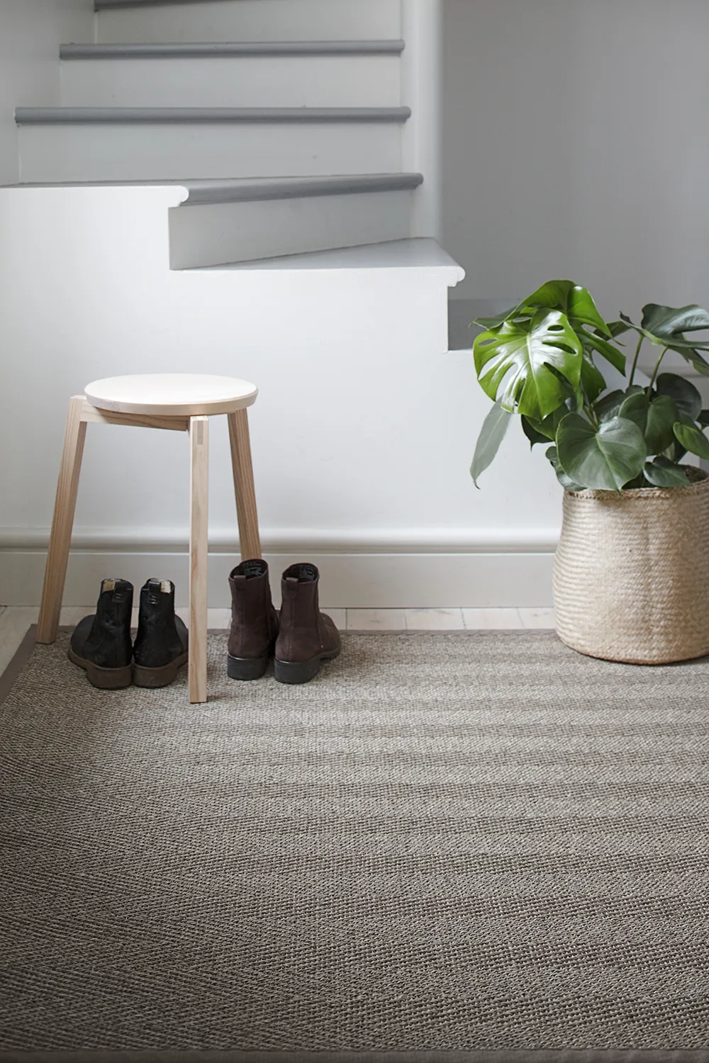 Barrakuda 9307 natur 2 pien