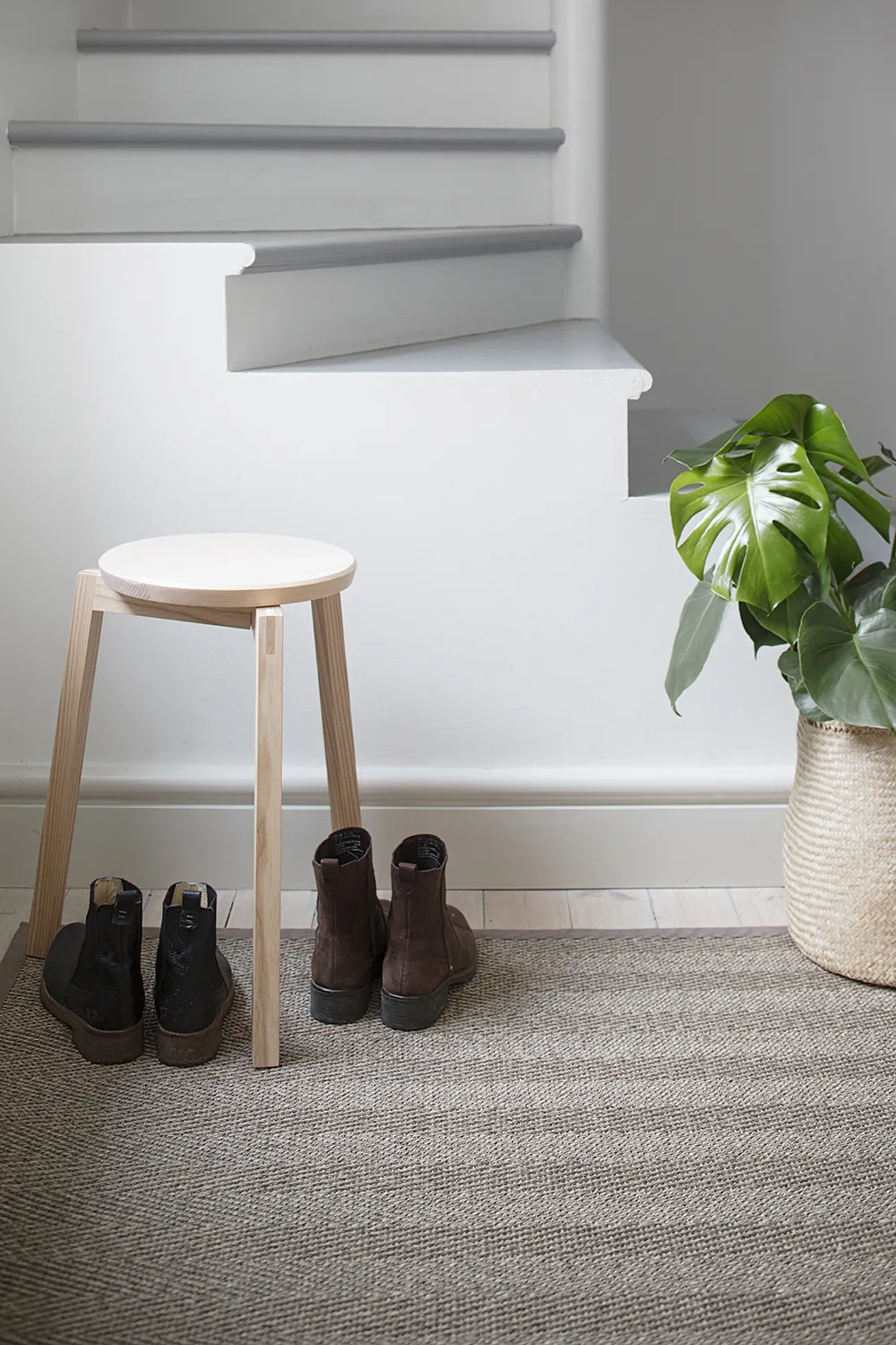 Barrakuda 9307 natur pien