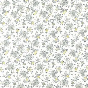 Ткань Clarke&Clarke Montage F1533-01