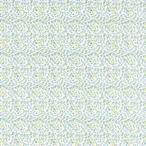 Ткань Clarke&Clarke Montage F1534-01