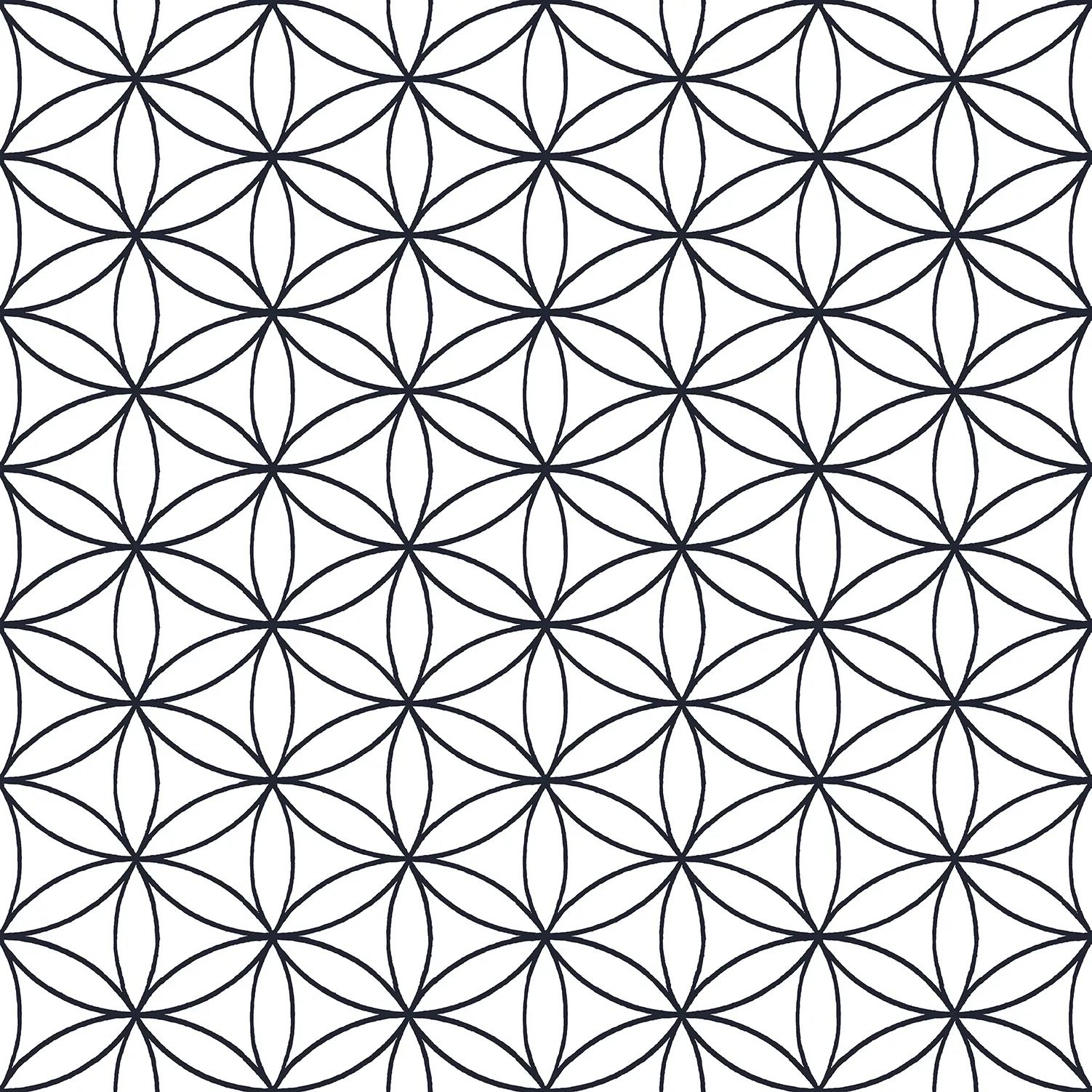 Обои для стен Parato Cristiana Masi Amazzonia 22051