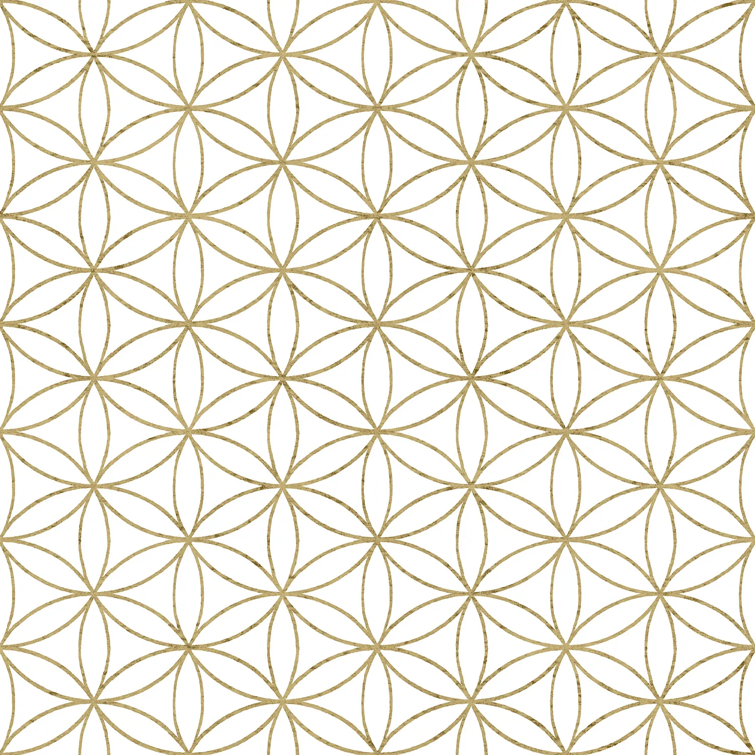 Обои для стен Parato Cristiana Masi Amazzonia 22052