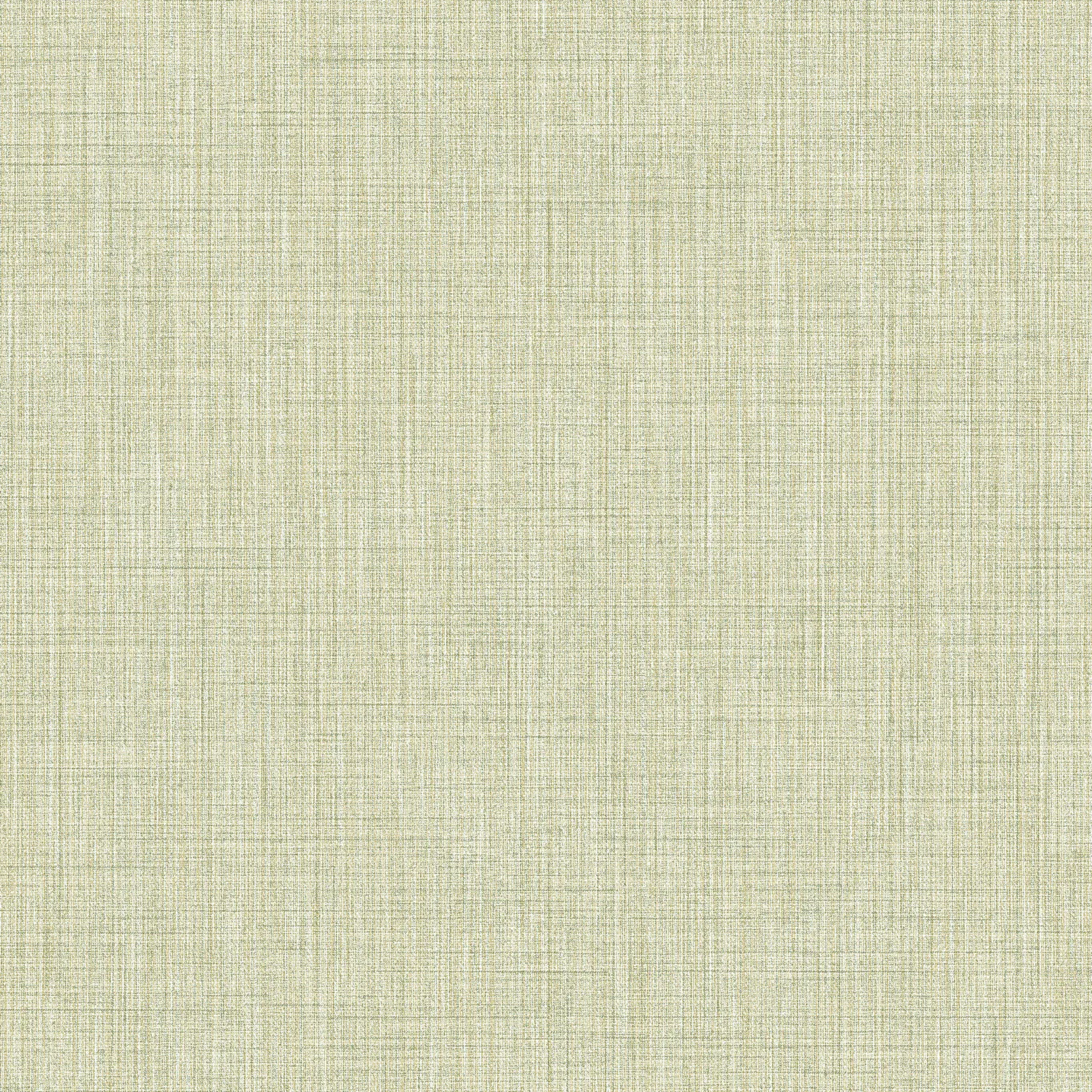 Обои для стен Parato Cristiana Masi Contract 22085