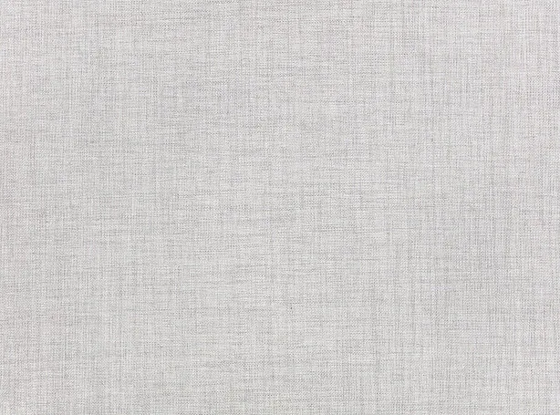 Ткань Zinc City Z634-01