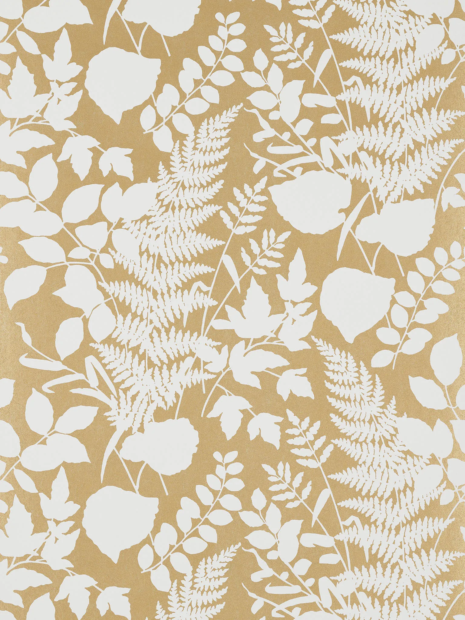 Обои для стен Pierre Frey Veranda fp754002