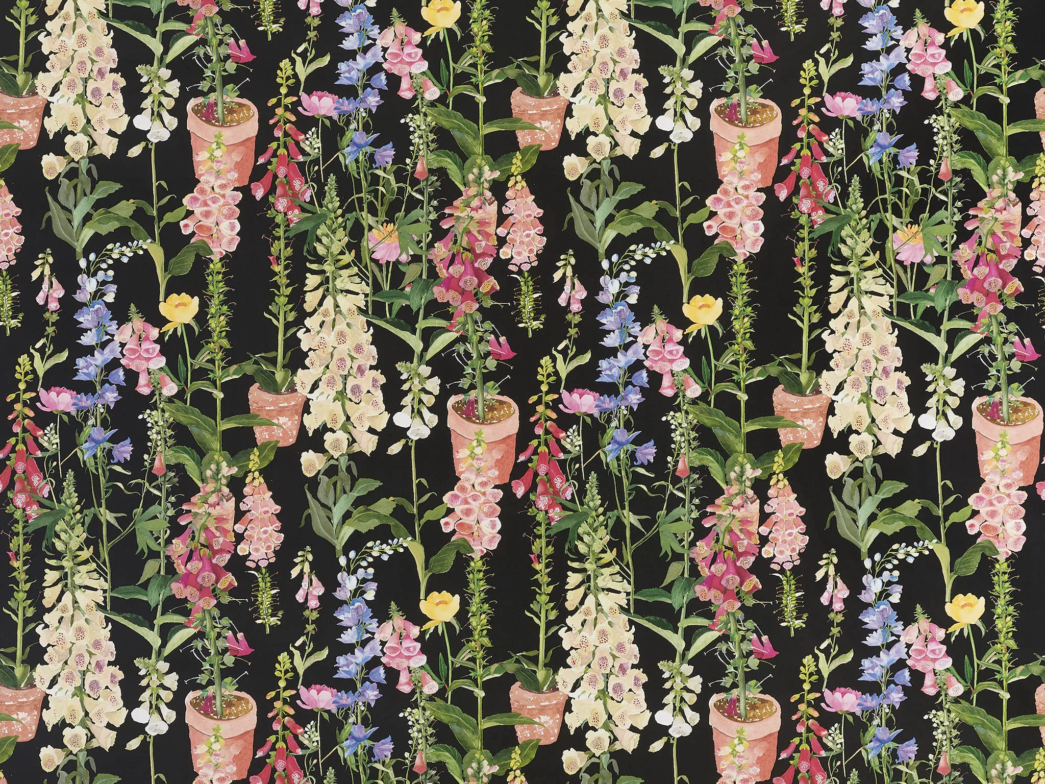 Обои для стен Pierre Frey Veranda fp759002