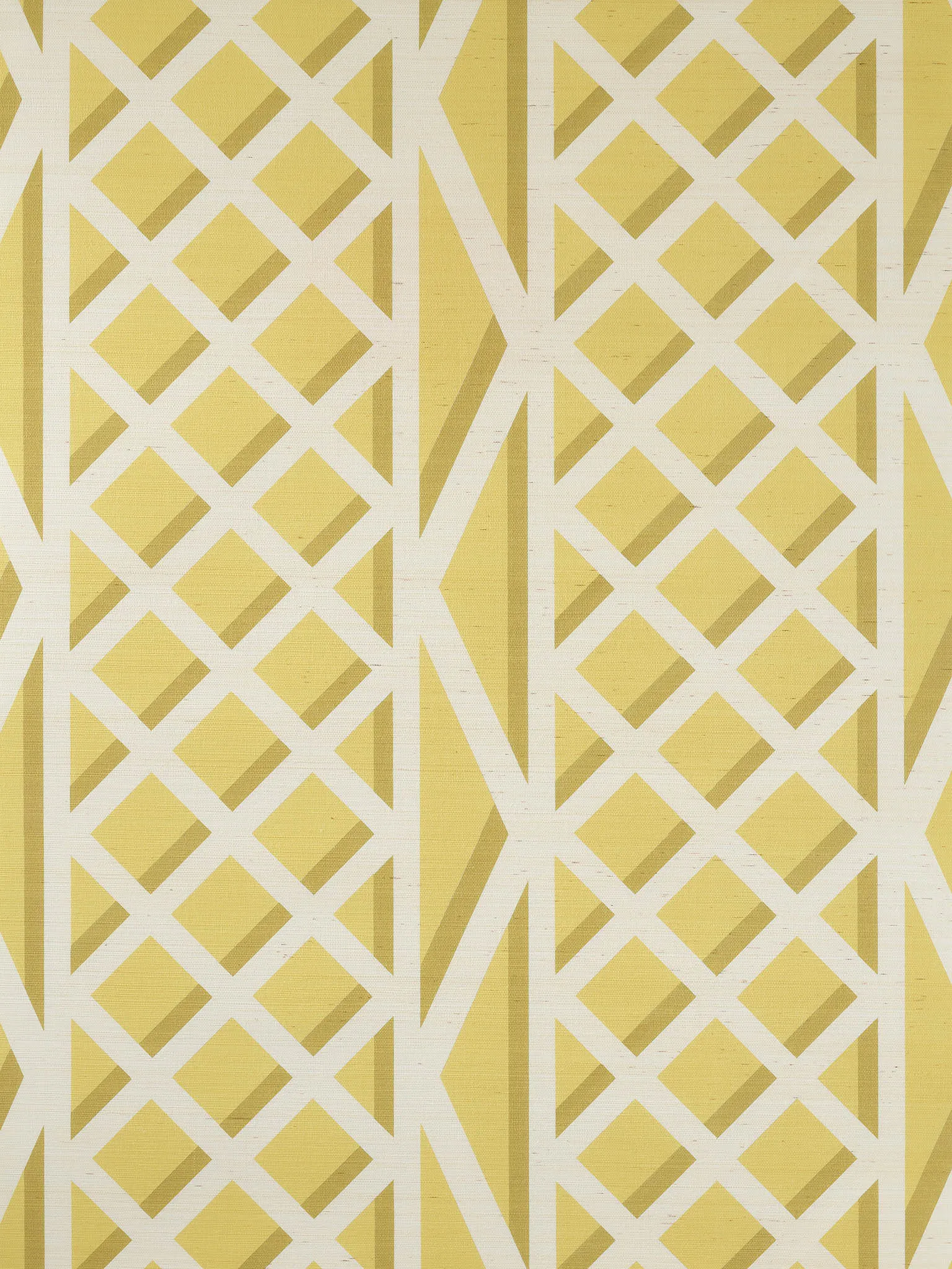 Обои для стен Pierre Frey Veranda fp769001