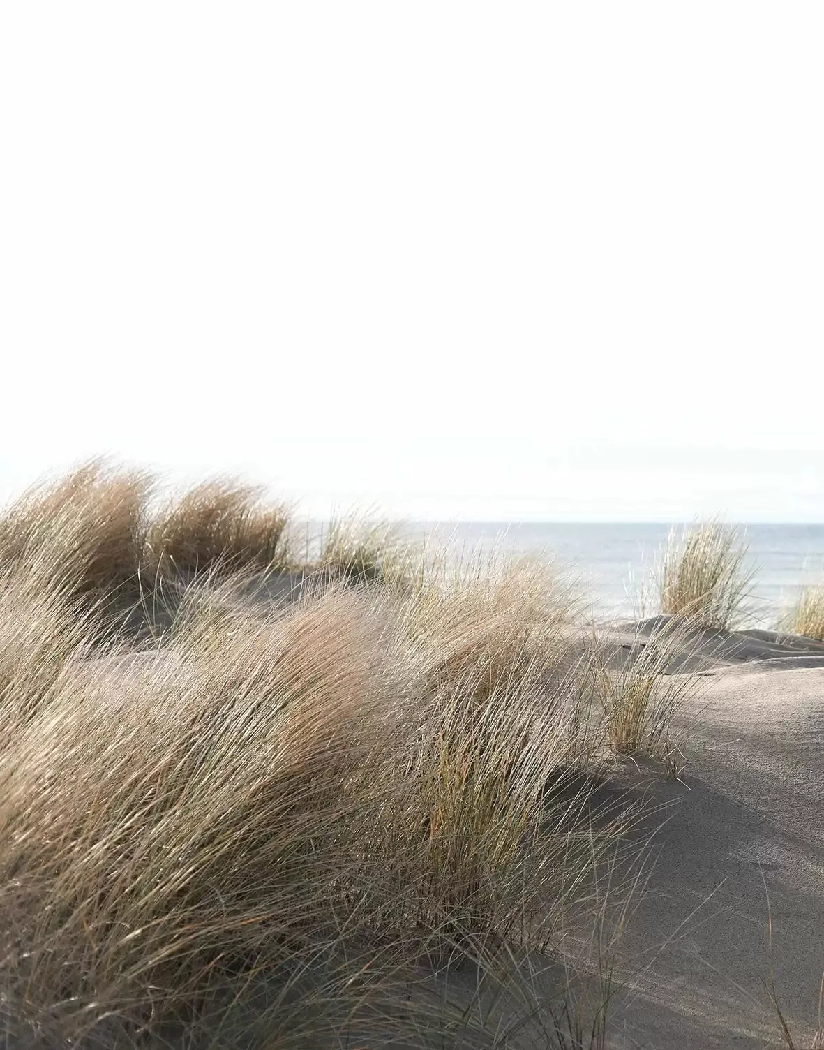 Обои для стен Marburg Smart Art 47219