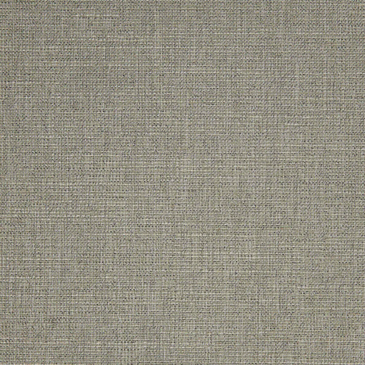 Ткань Pepe Penalver Abaca ABACA-06