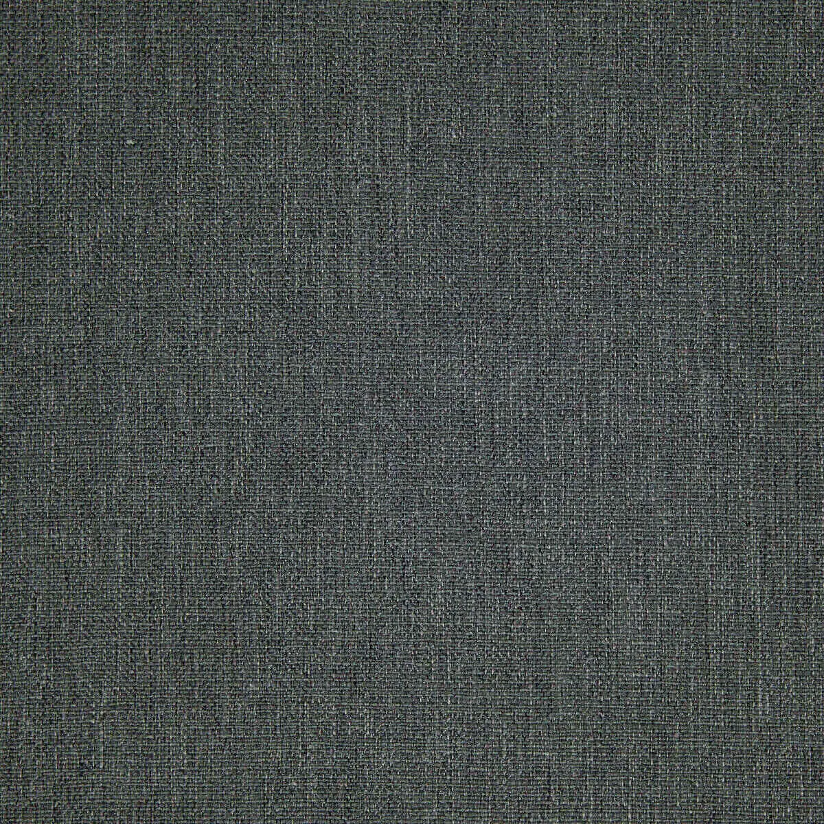 Ткань Pepe Penalver Abaca ABACA-14