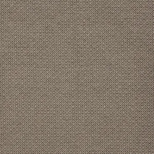 Ткань Pepe Penalver Safari DUMA-06