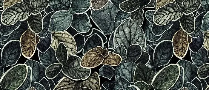 Обои для стен Ressource Faune&Flore cg06_03_charmille