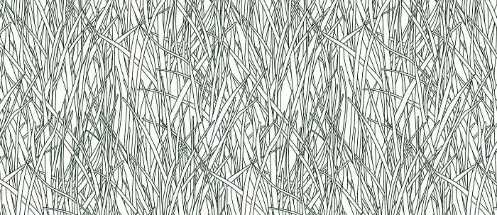 Обои для стен Ressource Faune&Flore hf08_03_herbes_folles