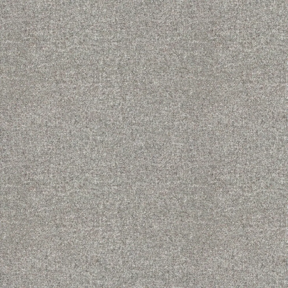 Ткань Moon Melton collection U1116-P02_Earth_Platinum