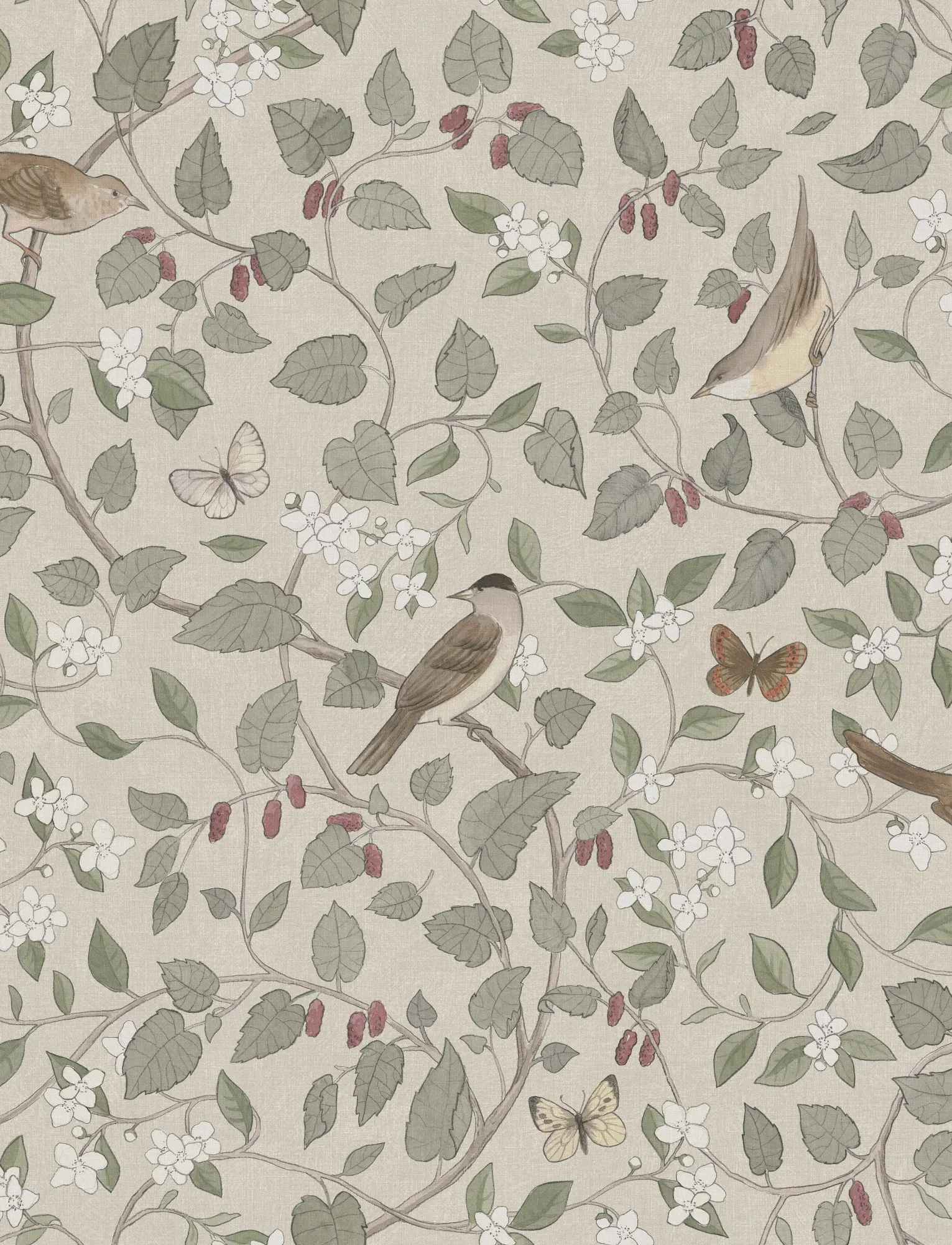 Обои для стен BorasTapeter Special Edition Flowery 2056-r