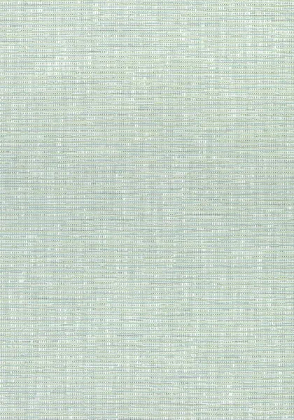 Ткань Thibaut Cadence W74042