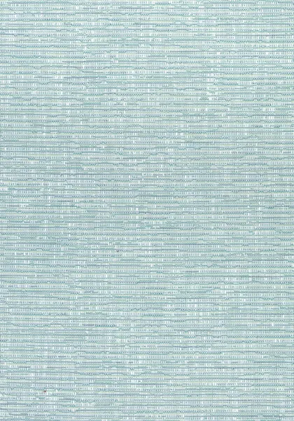 Ткань Thibaut Cadence W74043