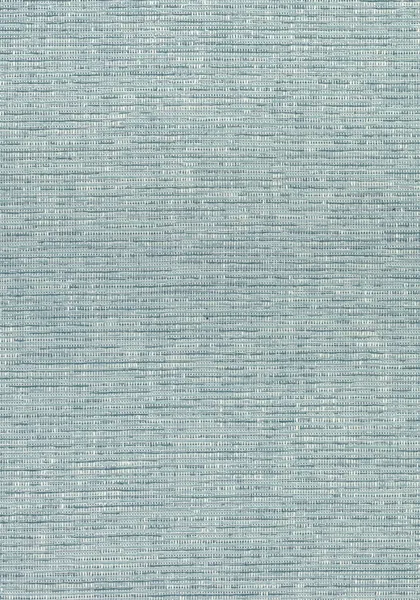 Ткань Thibaut Cadence W74044