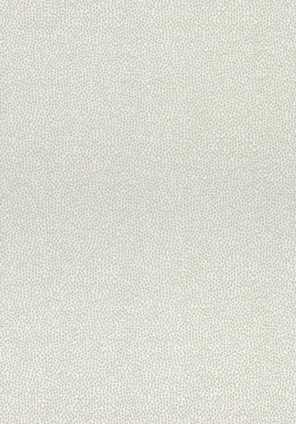 Ткань Thibaut Cadence W74075